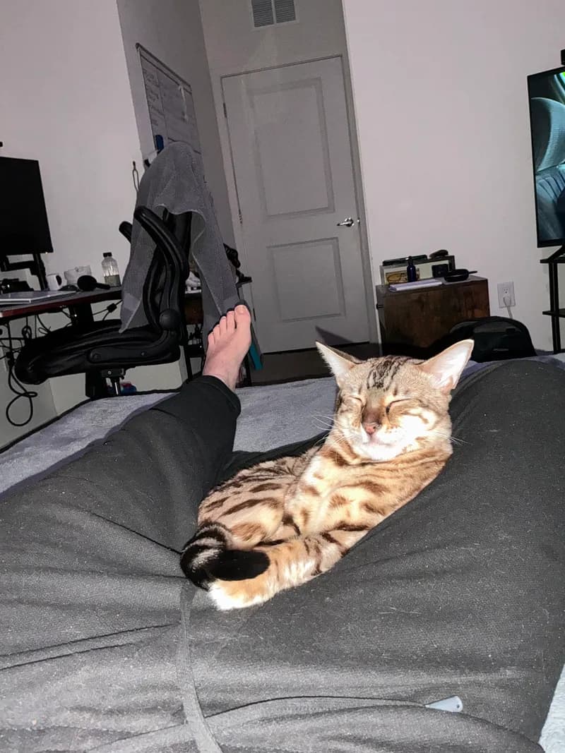 One of Onyx's first photos