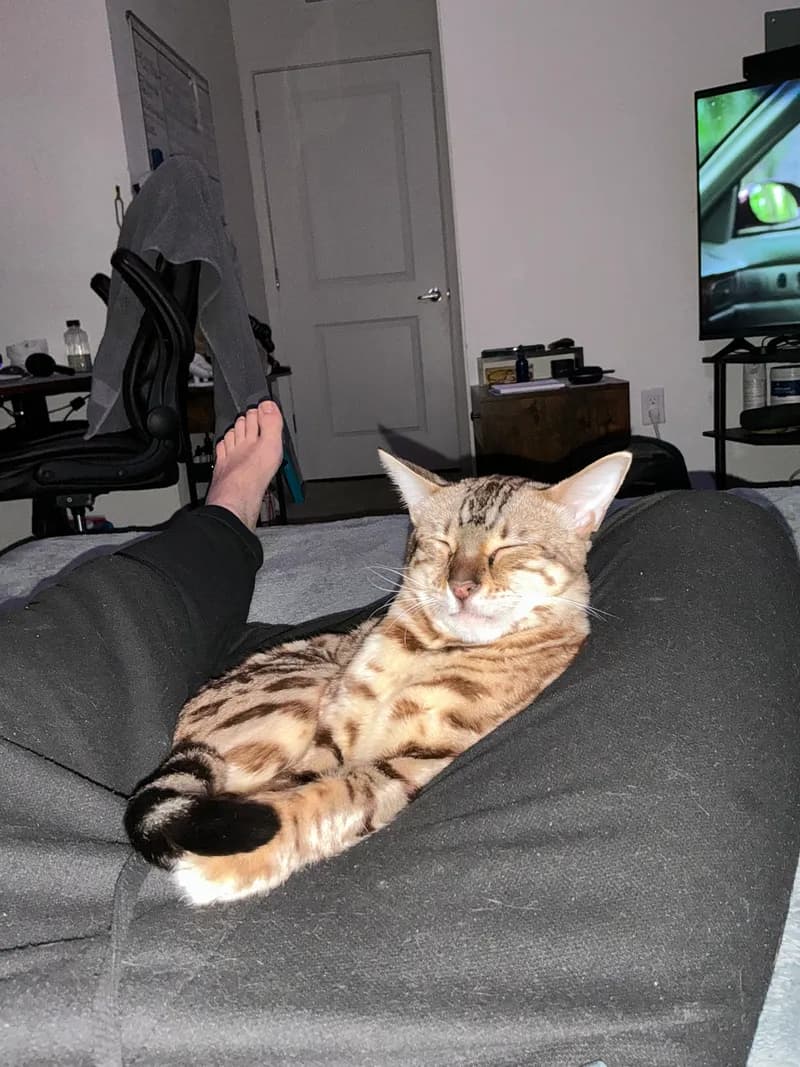 Tiny Onyx in his first days