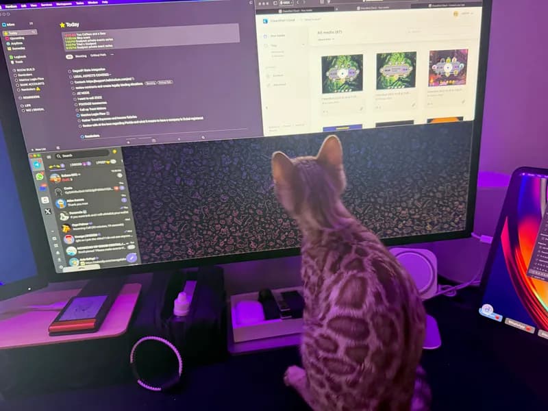 Baby Onyx with developing coat