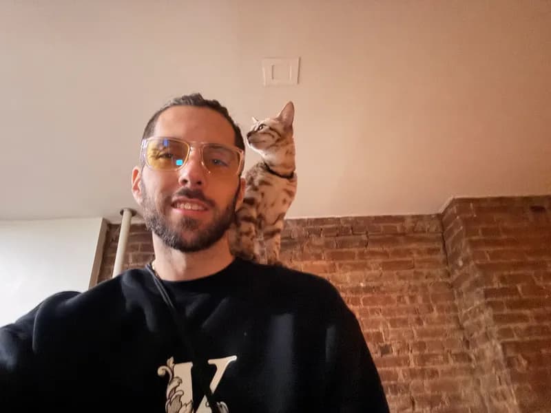 Onyx being carried on a shoulder walk