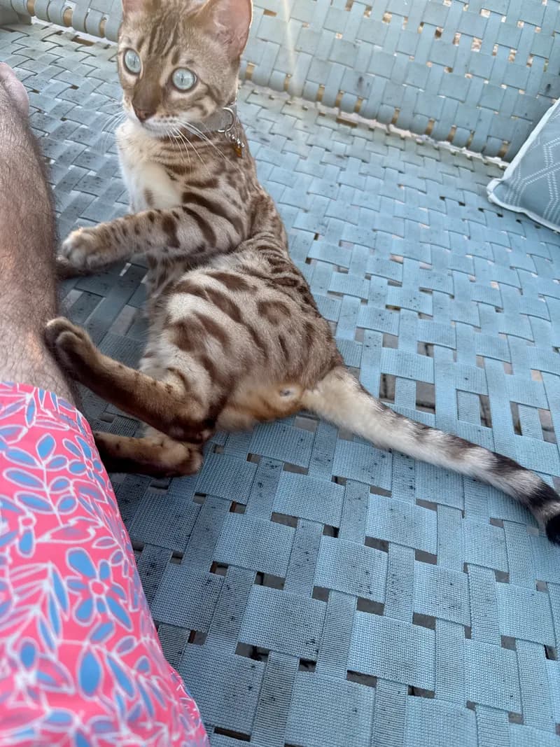 Onyx at the pool area