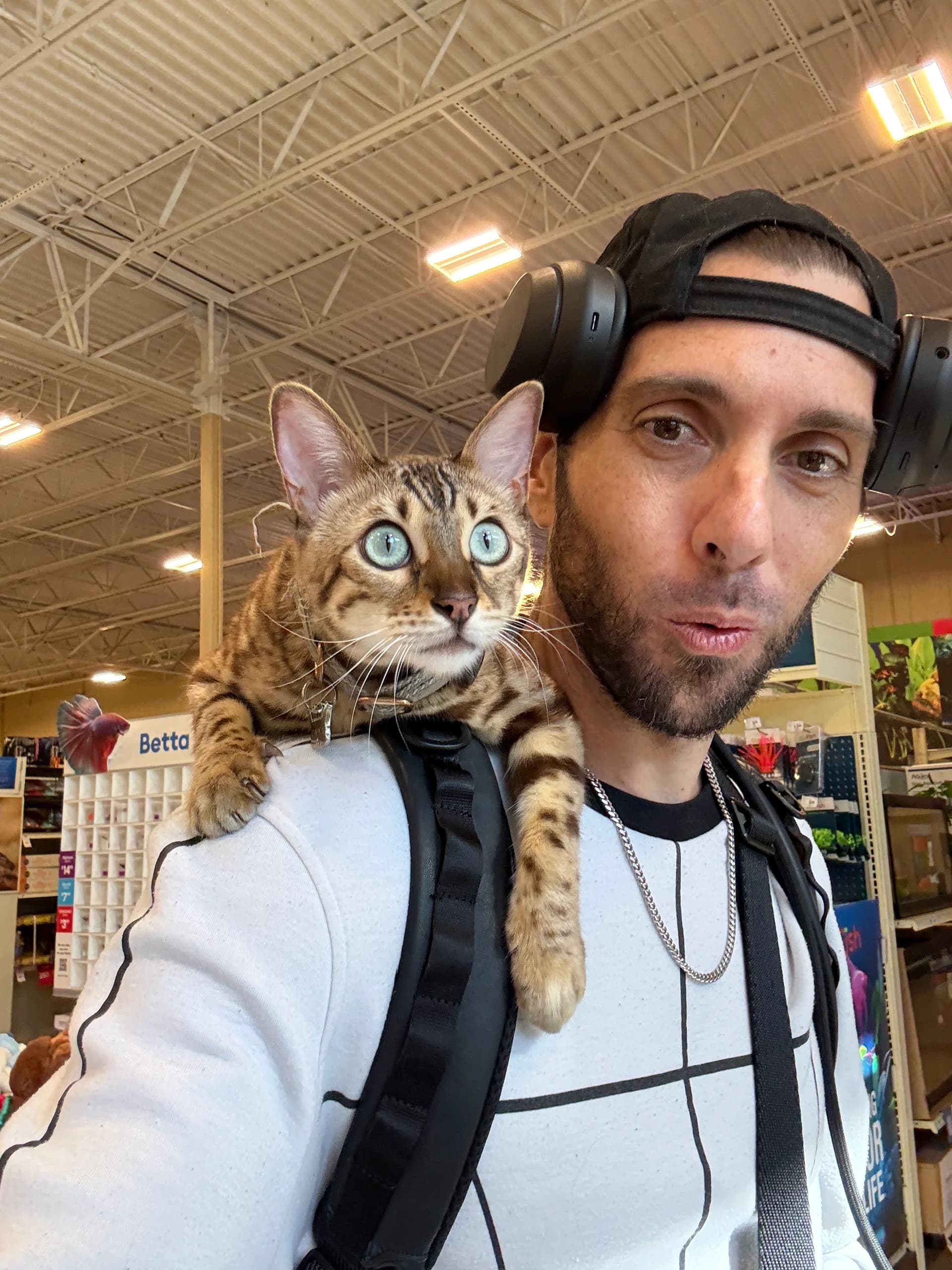 Onyx with piercing aqua eyes on his owner's shoulder at a pet store