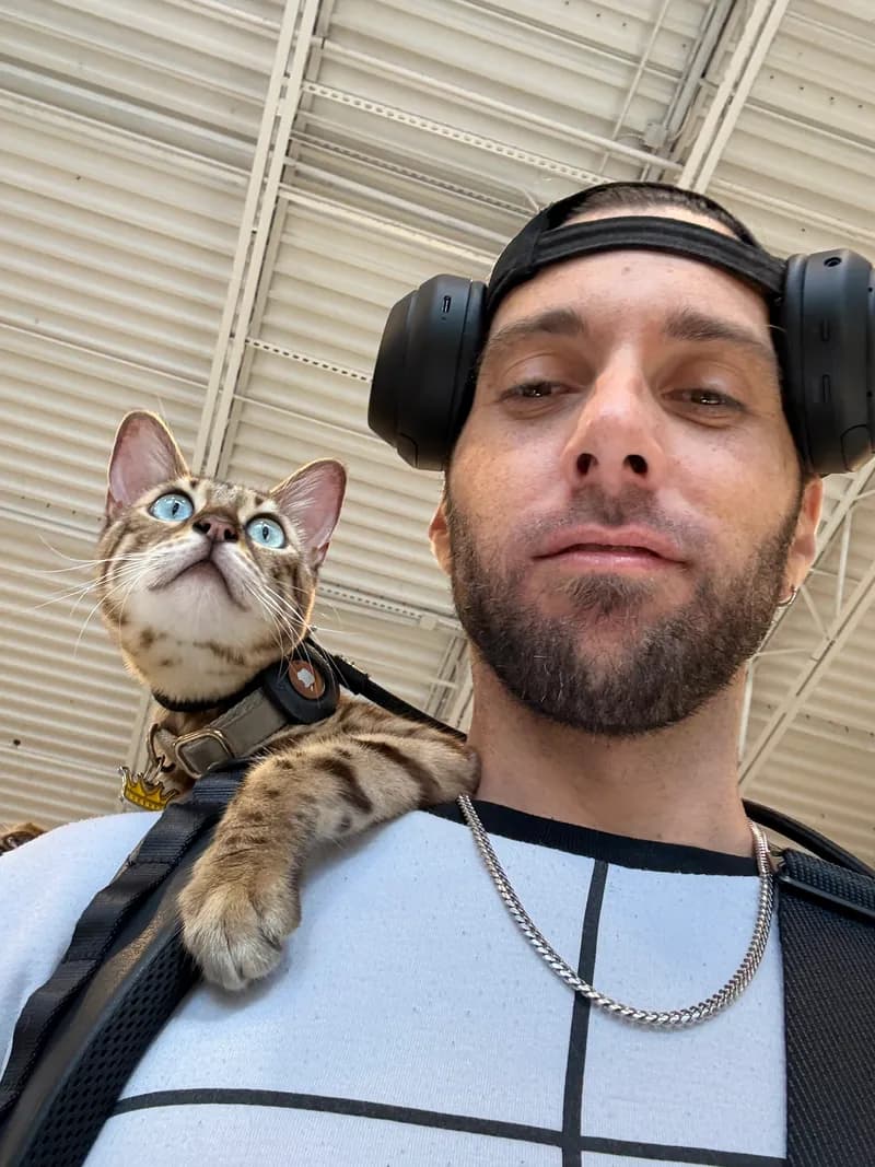 Onyx looking up with bright aqua eyes in store lighting