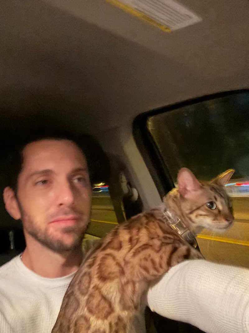 Onyx portrait showing warm coat tones